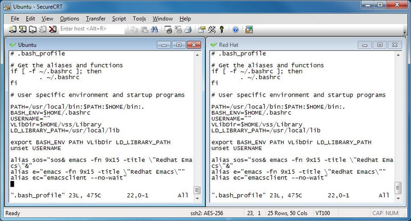 SecureCRT Screenshot